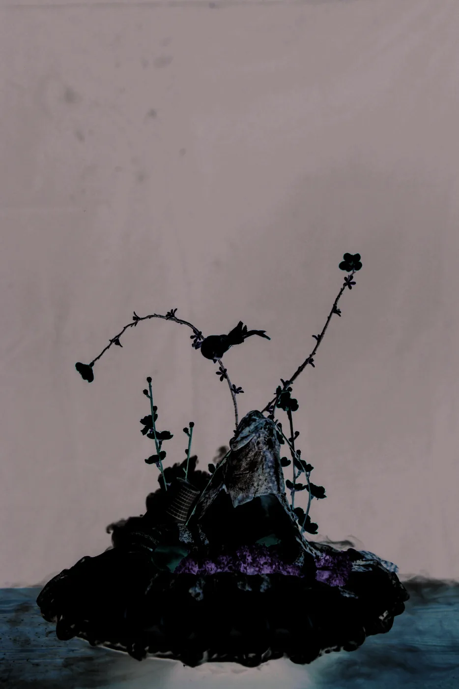 鸠帮吞云海,以鳜鱼与云吞组成的意境菜